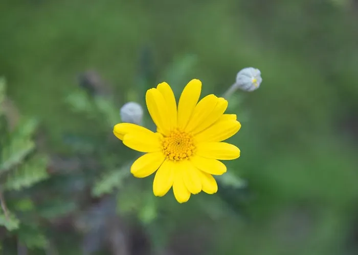 Hotel Residenza Leone Xiii